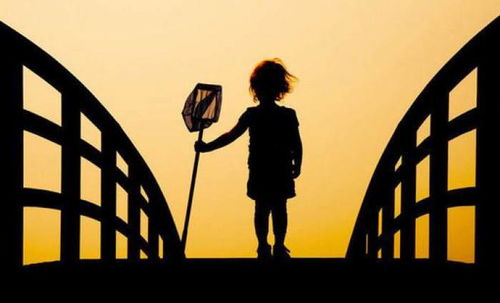 陽光、防疫與影像 平凡生活里的美好瞬間